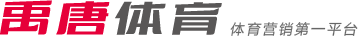 勇士战胜灰