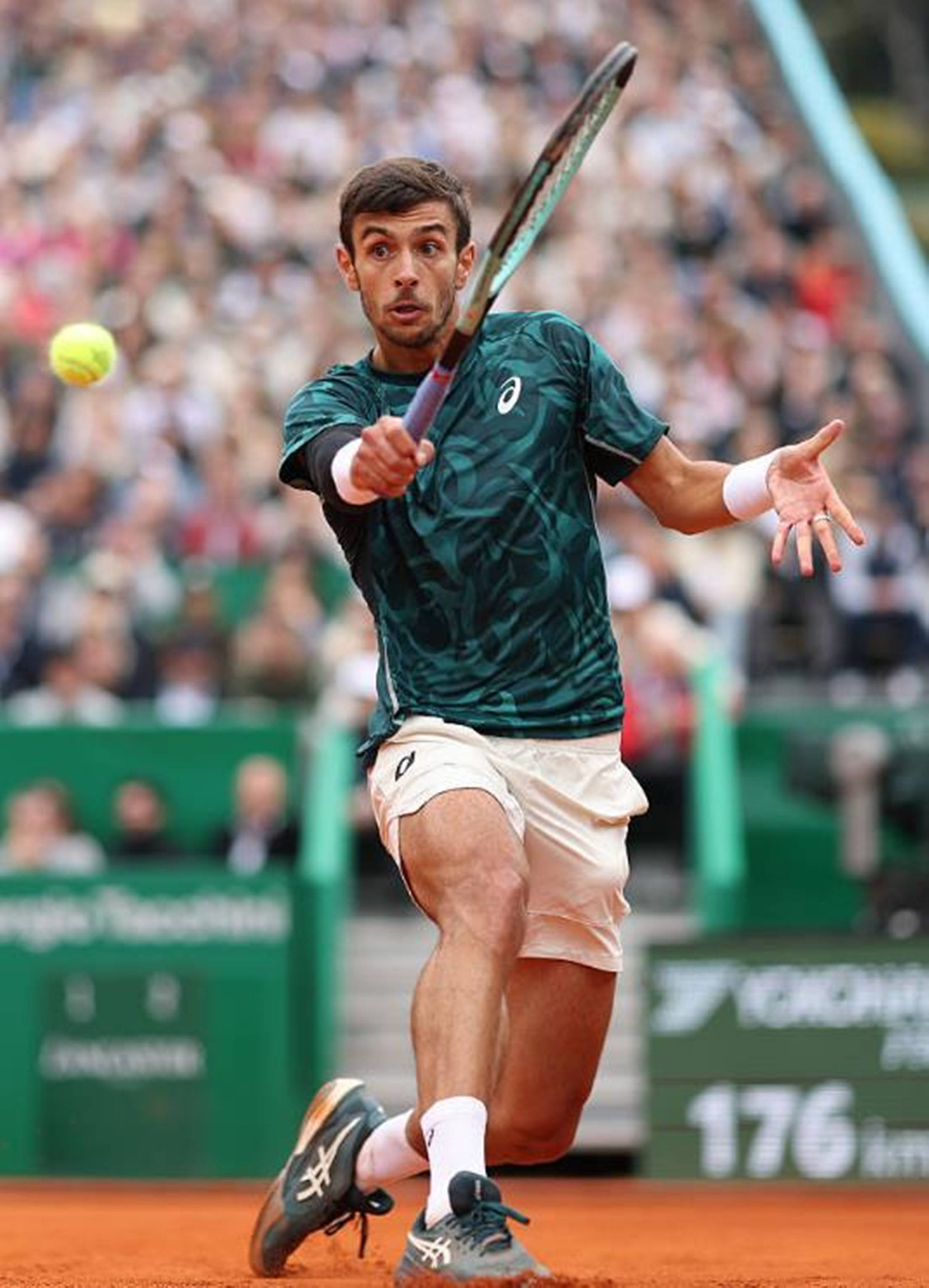 萨青睐有加 萨青睐有加