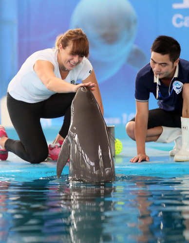 的情况下通 的情况下通